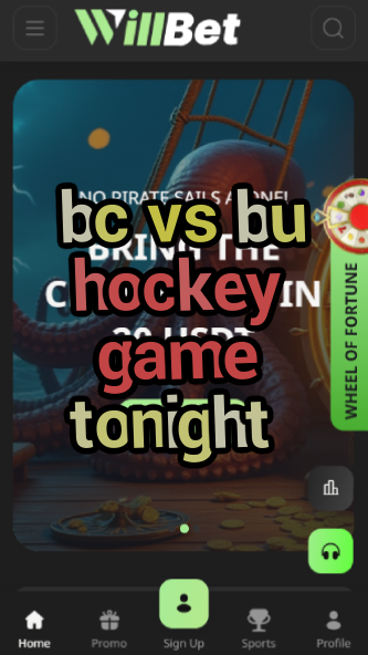 BC vs BU Hockey Game Tonight: What to Know-vz72fvrf.com